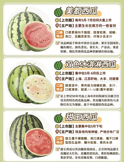 l600西瓜品种介绍 西瓜品种2848