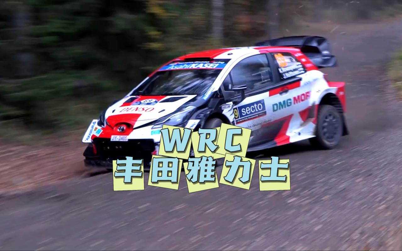 wrc有中国车队吗(wrc有几个车队)